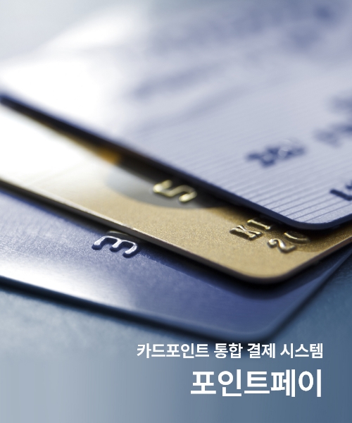 카드포인트 통합 결제 시스템, 포인트페이